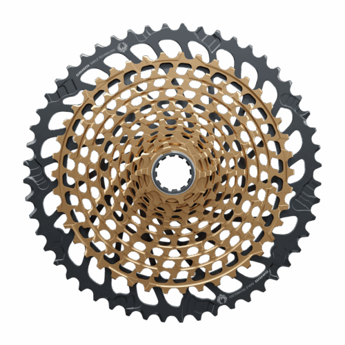 Alternative view of Cassette XG-1299