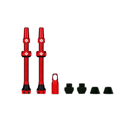TUBELESS VALVES V2<h6>チューブレスバルブV2</h6>