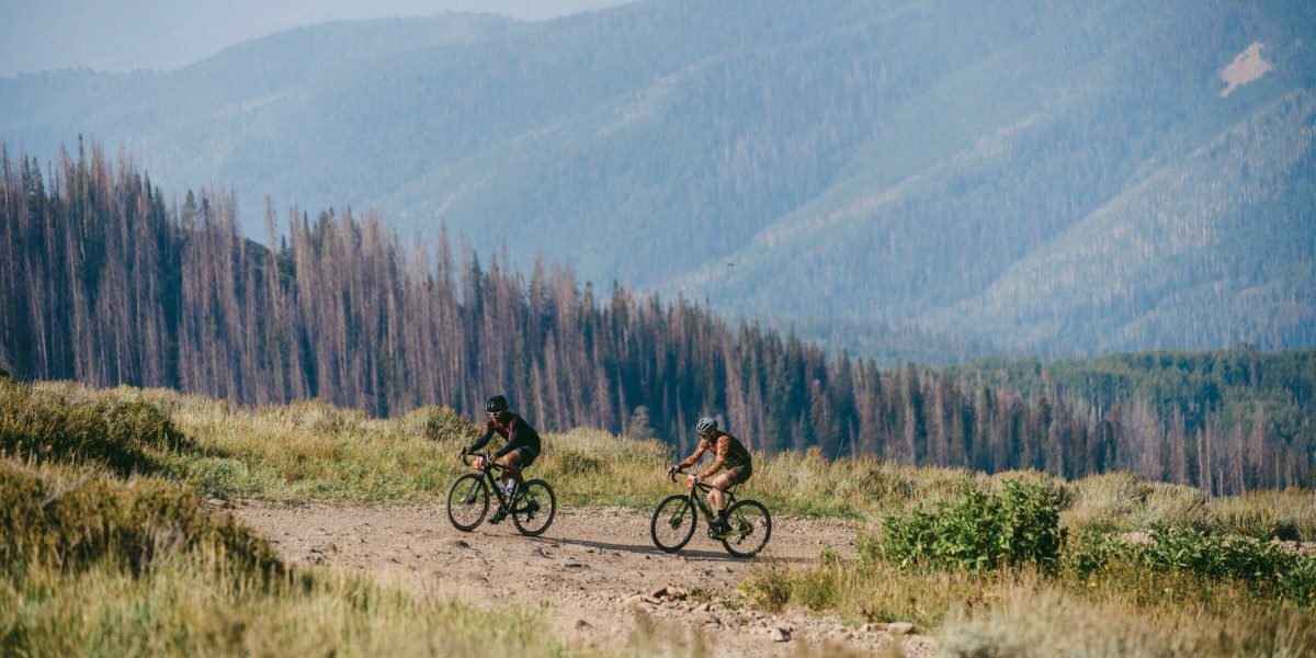 森林に覆われた丘と山を背景に、草原を走る未舗装のトレイルをマウンテンバイクで走る2人。.