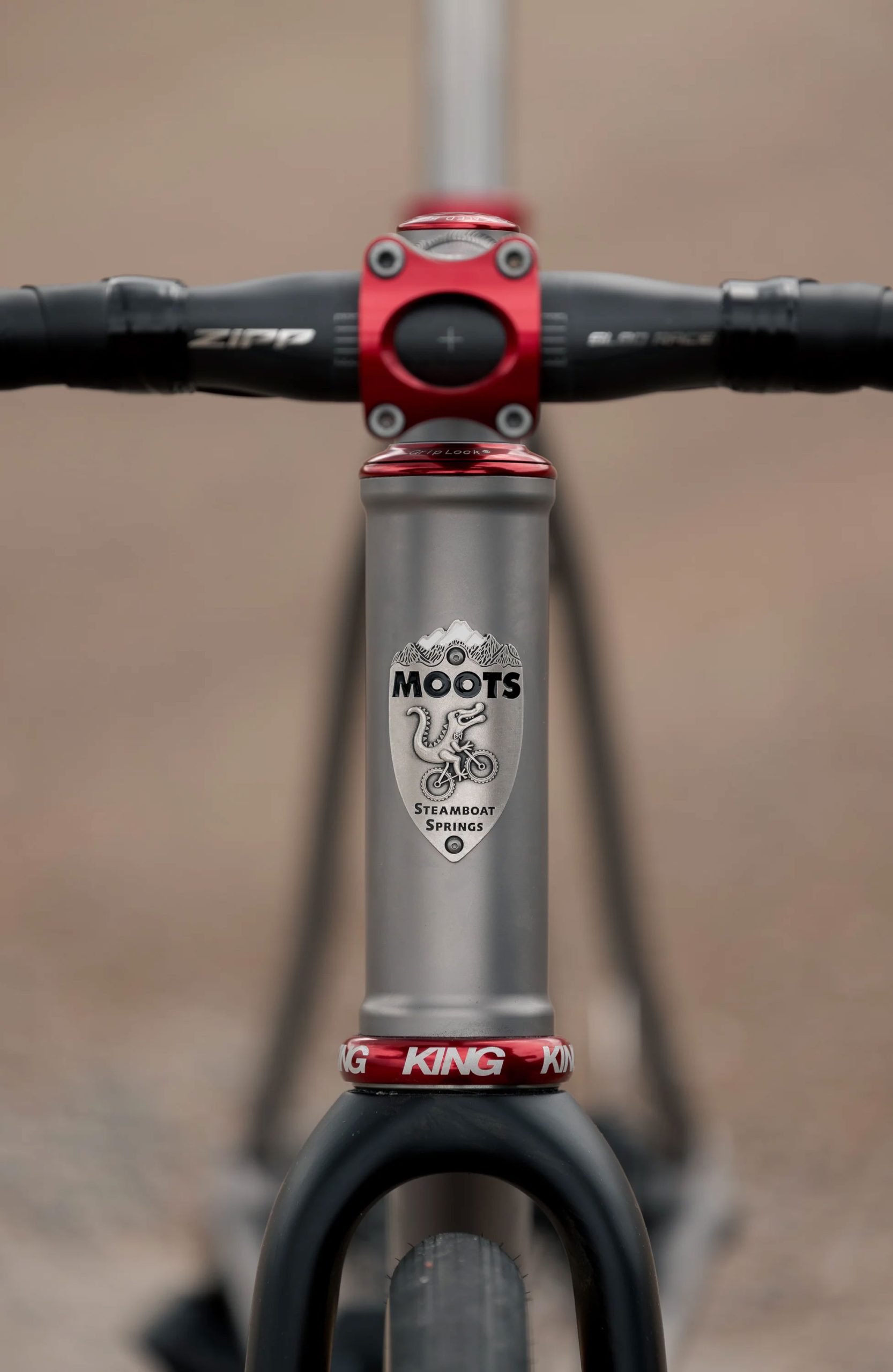 A33A1654 COUNTY LINE ALL-ROAD BIKEのヘッドチューブのクローズアップ。自転車に乗った山岳恐竜の盾型のロゴが施されており、ハンドルバーとフォークには赤いパーツが採用されている。.