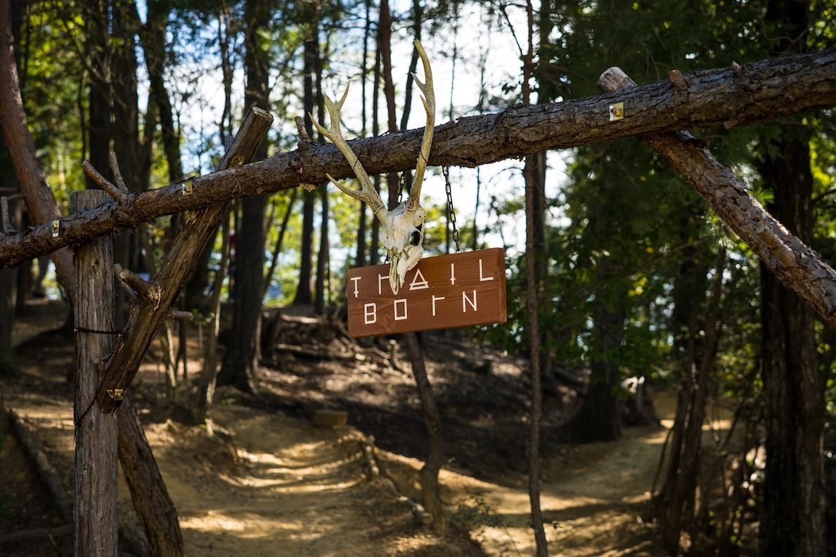 小道の上に架かる木製のアーチ。その上には、TRAIL BORNと書かれた看板の上に鹿の頭蓋骨が飾られている。.