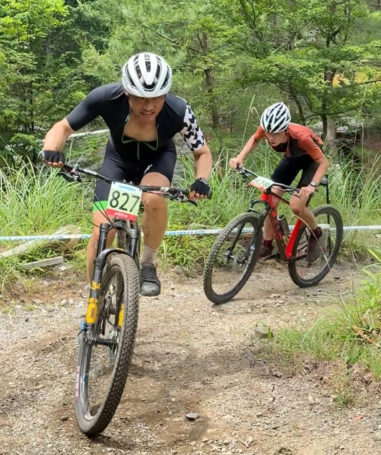 ◇