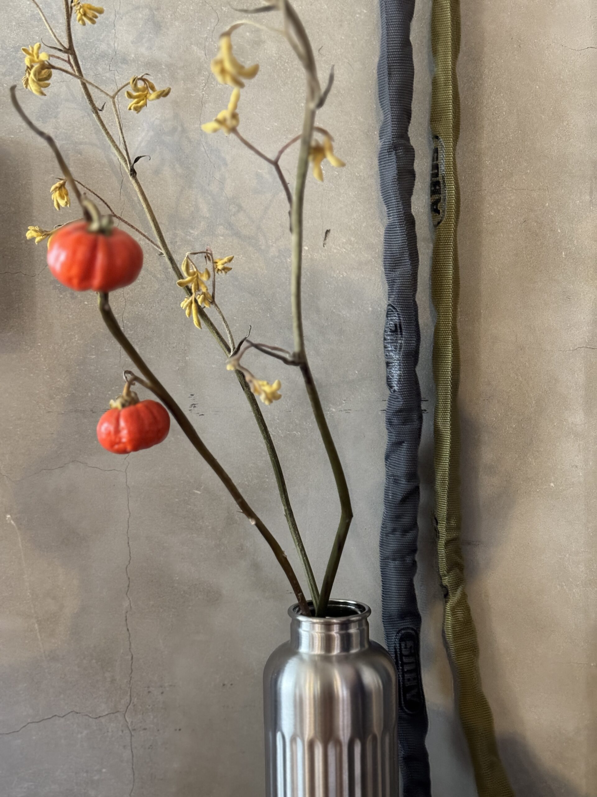 新製品情報】切断耐性の高いチェーンロック4804/5805に限定色登場