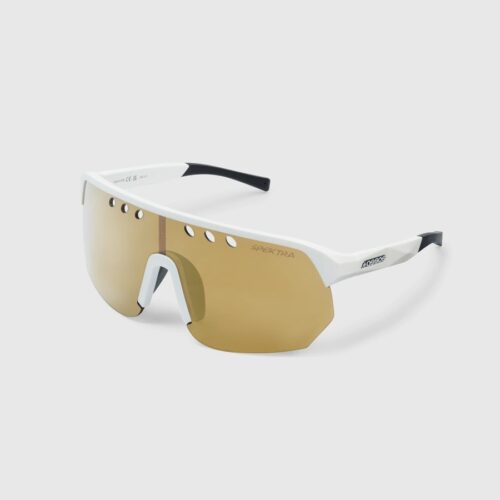 DONZI EYEWEAR GOLD<h6>ドンジーアイウェアゴールド</h6>