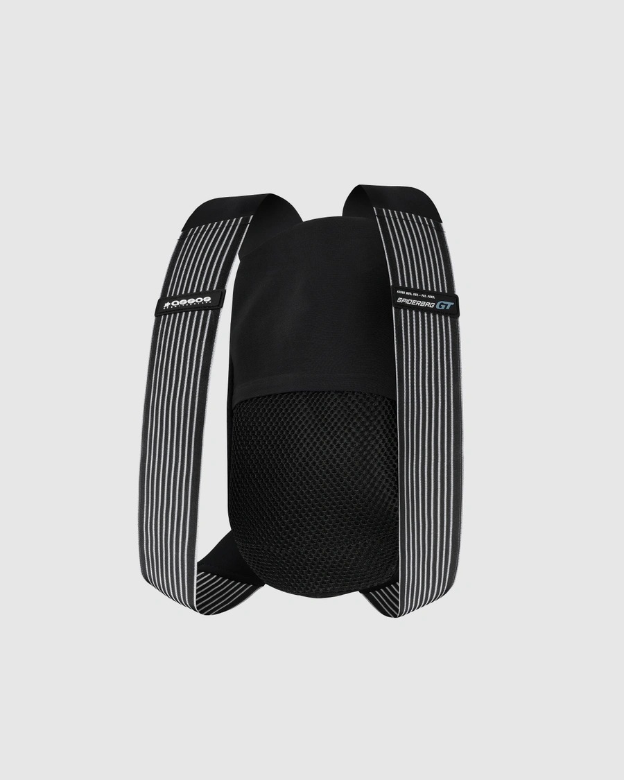 imgi_2_ASSOS_P13.94.916.18_12