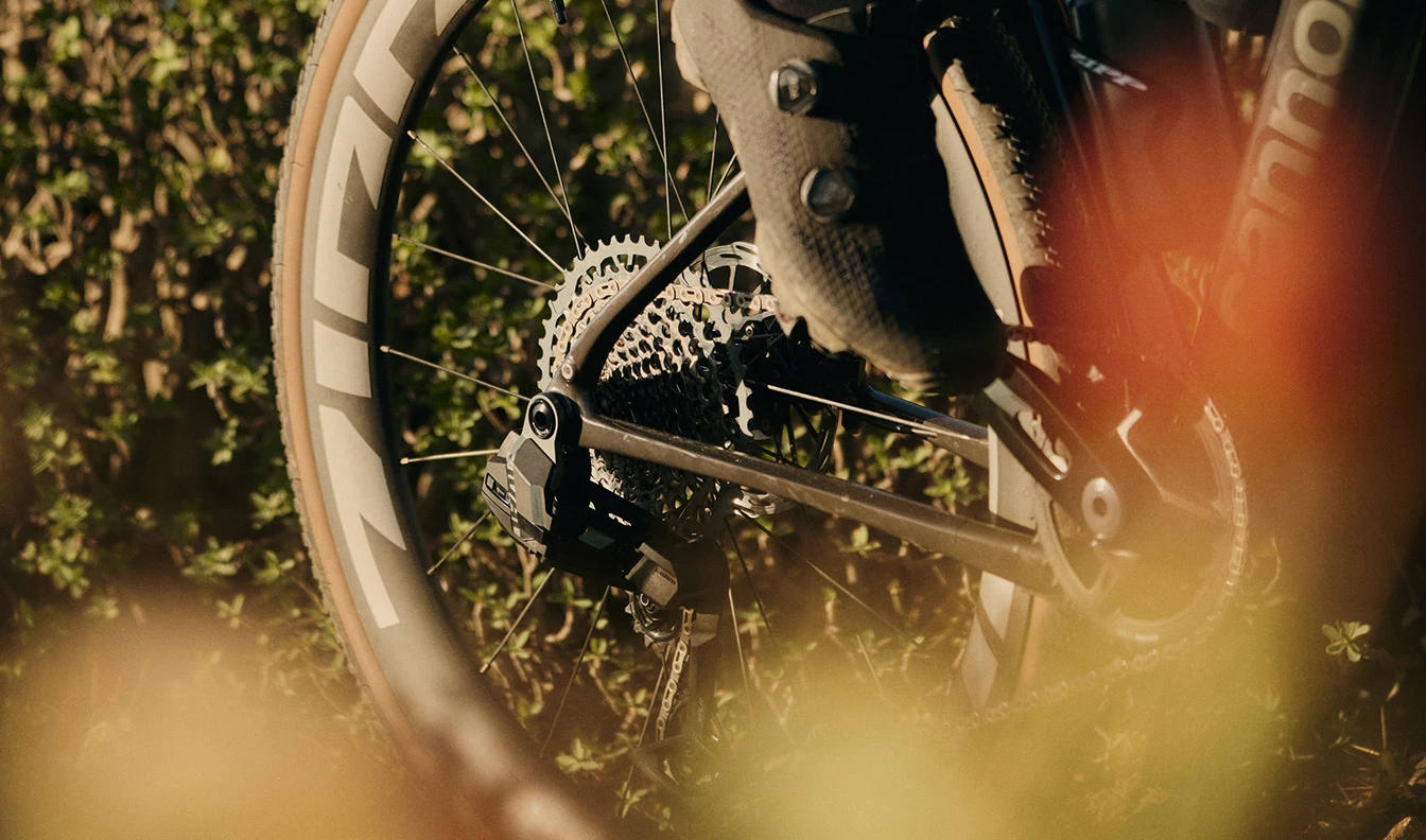 木々のそばを自転車で漕ぎながら、自転車のリアカセット、ディレイラー、ホイールをクローズアップで捉えた写真。.